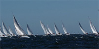 Sailing School Sailboats